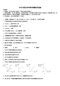 2026年嘉兴市中考冲刺卷化学试题（含答案解析）