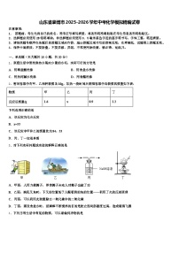 山东省淄博市2025-2026学年中考化学模拟精编试卷（含答案解析）