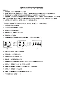 临沂市2026年中考联考化学试题（含答案解析）