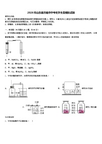 2026年山东省济南市中考化学全真模拟试题（含答案解析）