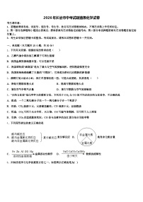 2026年长治市中考试题猜想化学试卷（含答案解析）