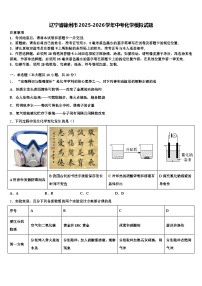 辽宁省锦州市2025-2026学年中考化学模拟试题（含答案解析）