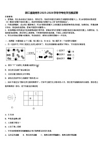 浙江省湖州市2025-2026学年中考化学五模试卷（含答案解析）