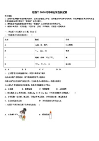 昭通市2026年中考化学五模试卷（含答案解析）