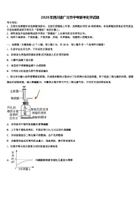 2026年四川省广元市中考联考化学试题（含答案解析）