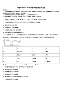 邵阳市2025-2026学年中考五模化学试题（含答案解析）