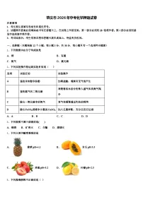 肇庆市2026年中考化学押题试卷（含答案解析）