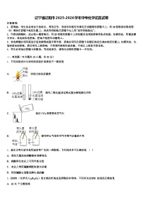 辽宁省辽阳市2025-2026学年中考化学仿真试卷（含答案解析）