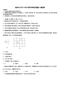 衡水市2025-2026学年中考化学最后一模试卷（含答案解析）
