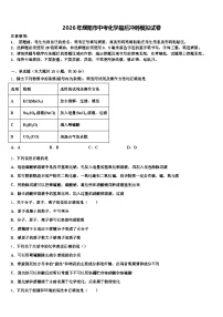2026年濮阳市中考化学最后冲刺模拟试卷（含答案解析）