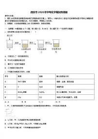 西安市2026年中考化学模拟预测题（含答案解析）