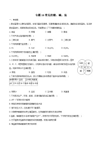 2025年中考化学第一轮复习专题10---常见的酸、碱、盐（江西专用）练习+答案