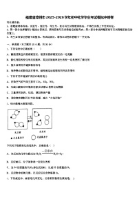 福建省漳州市2025-2026学年初中化学毕业考试模拟冲刺卷（含答案解析）