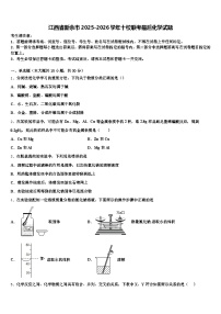 江西省新余市2025-2026学年十校联考最后化学试题（含答案解析）