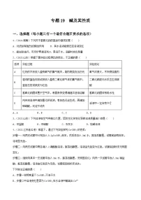 中考化学一轮复习考点提升练习专题19碱及其性质（2份，原卷版+解析版）