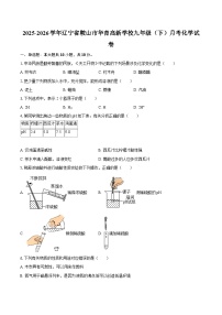 2025-2026学年辽宁省鞍山市华育高新学校九年级（下）月考化学试卷-自定义类型