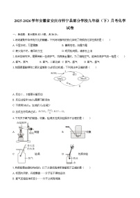 2025-2026学年安徽省安庆市怀宁县部分学校九年级（下）月考化学试卷-自定义类型