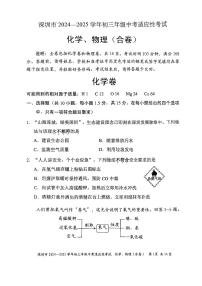 2024-2025学年深圳市初三中考适应性考试化学试卷（含答案）