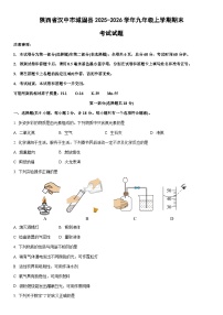 2025-2026学年陕西省汉中市城固县九年级上学期期末考试化学试卷（学生版）