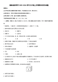 2025-2026学年湖南省邵阳市九年级上学期期末联考化学试卷（学生版）