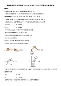 2025-2026学年湖南省岳阳市岳阳楼区九年级上学期期末考试化学试卷（学生版）