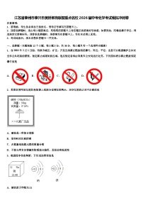 江苏省泰州市泰兴市黄桥教育联盟重点名校2026届中考化学考试模拟冲刺卷含解析