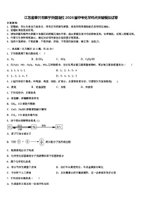 江苏省泰兴市振宇外国语校2026届中考化学对点突破模拟试卷含解析