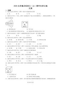 2025北京重点校初三（上）期中化学汇编：元素练习