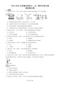 2023-2025北京重点校初三（上）期中化学汇编：碳的氧化物练习