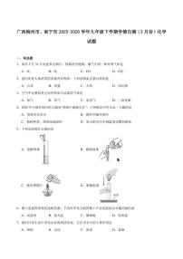 2025-2026学年广西柳州市、南宁市联考九年级下学期3月学业水平质量检测化学试卷(含答案)