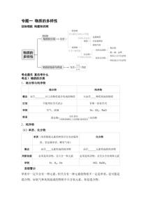 专题一 物质的多样性  2026年中考化学一轮复习(含答案)