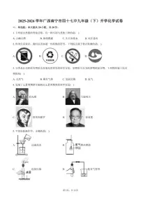 2025-2026学年广西南宁市第四十七中学九年级（下）开学化学试卷（含答案）