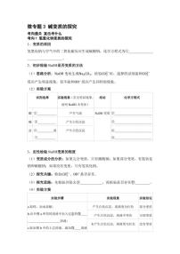 专题六 常见的酸、碱、盐 微专题3 碱变质的探究 2026年中考化学一轮复习（含答案）