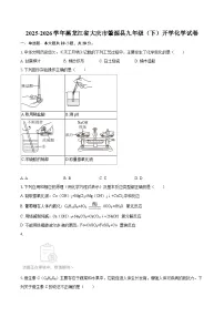 2025-2026学年黑龙江省大庆市肇源县九年级（下）开学化学试卷-自定义类型
