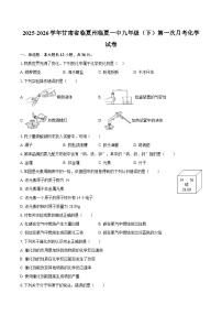 2025-2026学年甘肃省临夏州临夏一中九年级（下）第一次月考化学试卷-自定义类型