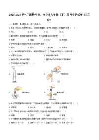 2025-2026学年广西柳州市、南宁市九年级（下）月考化学试卷（3月份）-自定义类型