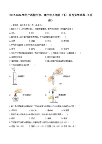 2025-2026学年广西柳州市、南宁市九年级（下）月考化学试卷（3月份）-自定义类型