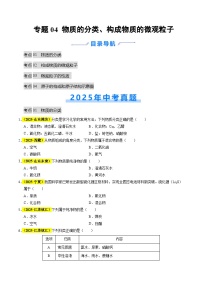 专题04 物质的分类、构成物质的微观粒子（全国通用）2025年中考化学真题分类汇编