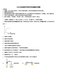 2026年宣城市中考化学考试模拟冲刺卷（含答案解析）