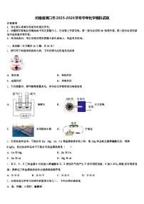 河南省周口市2025-2026学年中考化学模拟试题（含答案解析）