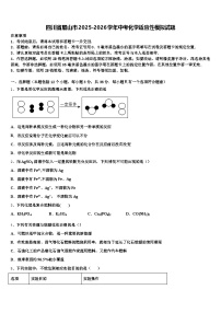 四川省眉山市2025-2026学年中考化学适应性模拟试题（含答案解析）