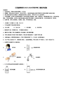 江苏省泰州市2025-2026学年中考二模化学试题（含答案解析）