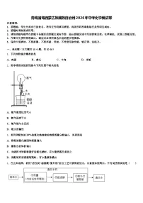 青海省海西蒙古族藏族自治州2026年中考化学模试卷（含答案解析）