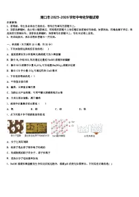 周口市2025-2026学年中考化学模试卷（含答案解析）