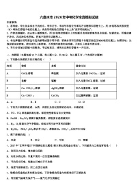 六盘水市2026年中考化学全真模拟试题（含答案解析）