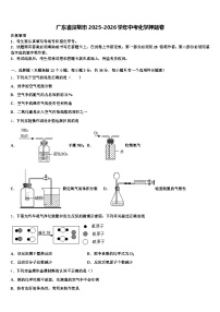 广东省深圳市2025-2026学年中考化学押题卷（含答案解析）