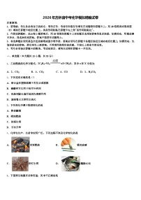 2026年吉林省中考化学模拟精编试卷（含答案解析）