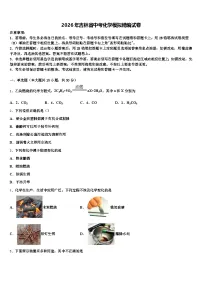 2026年吉林省中考化学模拟精编试卷（含答案解析）