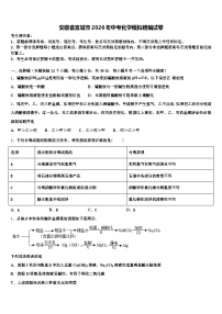 安徽省宣城市2026年中考化学模拟精编试卷（含答案解析）