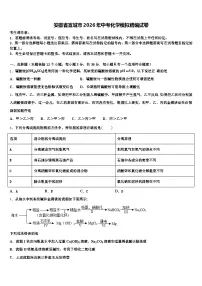 安徽省宣城市2026年中考化学模拟精编试卷（含答案解析）